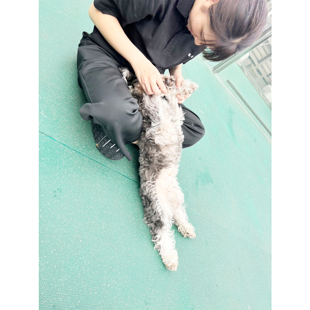 生徒が撮影した写真を送ってくれました！①